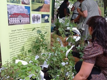 Piknikowo i sportowo z Województwem Łódzkim w Uniejowie, 